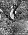 Grace Lewis.jpg (45901 bytes)